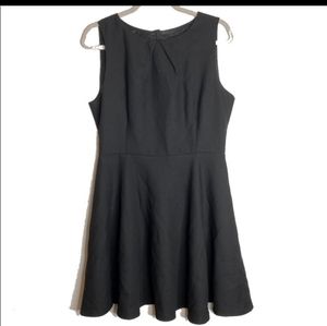 Zara skater dress